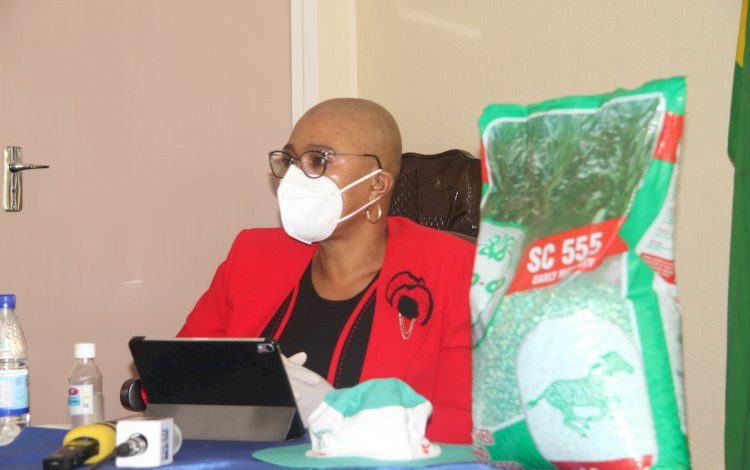 ZRP, SEEDCO To Curb Counterfeit Maize Seed